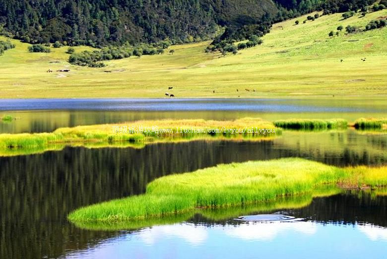 �������������羰��ʤ�����ι���