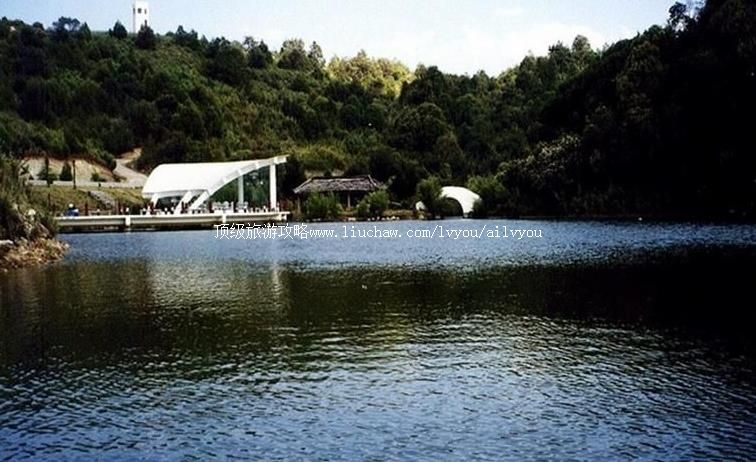 2A�����ٲ�����ɽ����ɭ�ֹ�԰���ι���