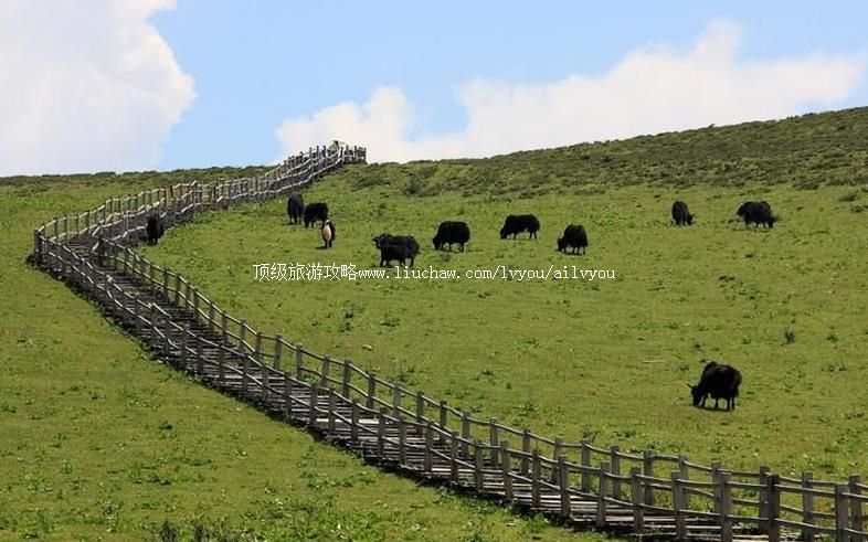 ����������ţƺ�羰�����ι���