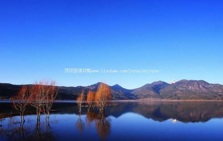 �������к����ι���