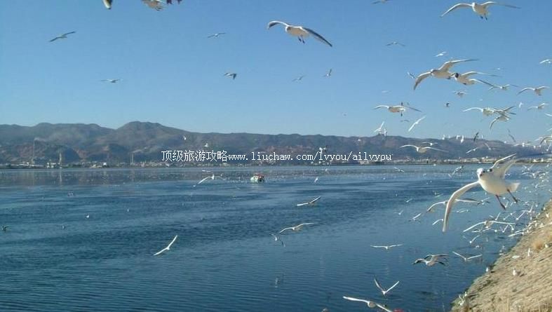 ��������������ι���