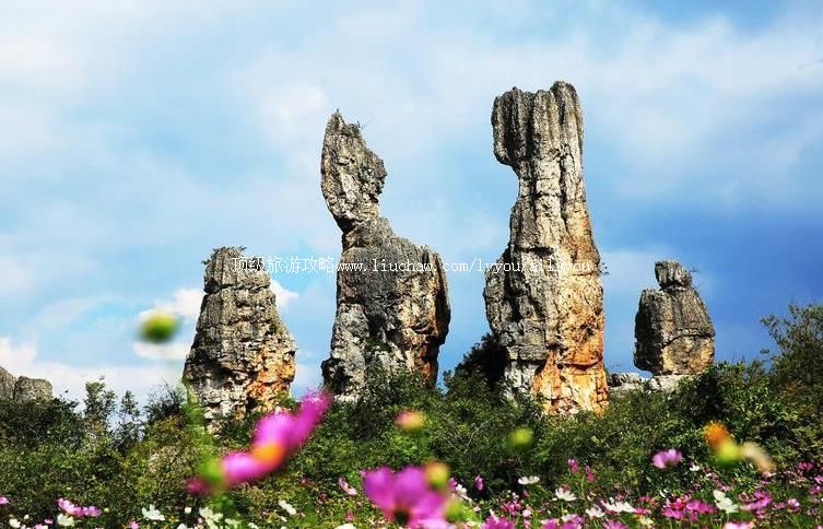 4A���������˹�ʯ�����ι���