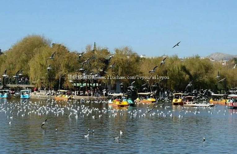 4A������������������þ������ι���