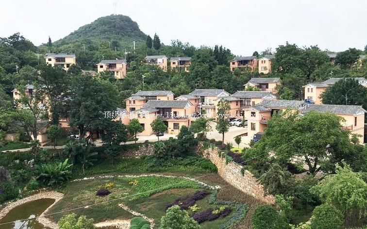 4A���Ϻ�����տ�������С�����ι���