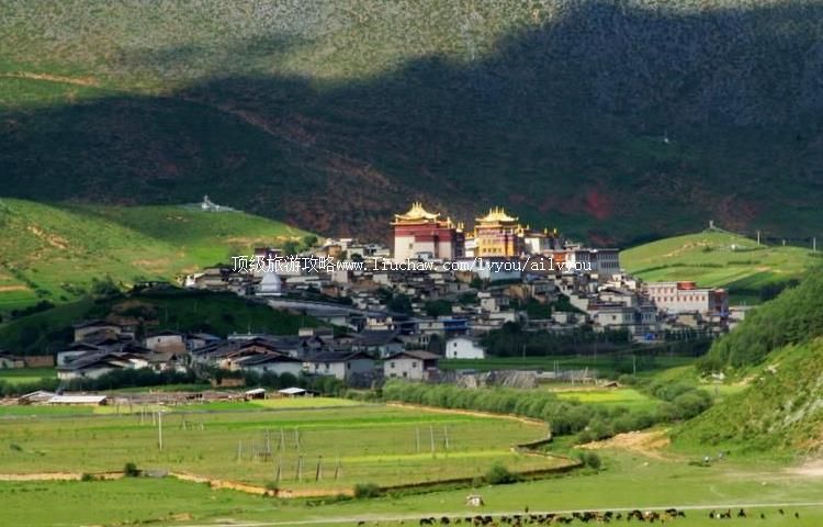 ��������������ι���