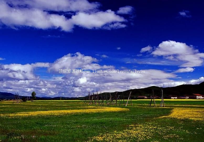 3A�����е����������ι���