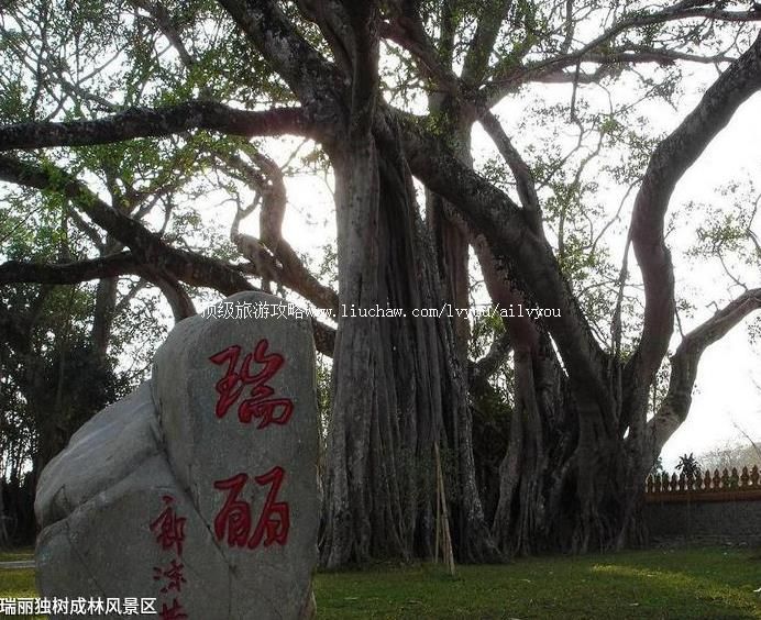 2A���������������ַ羰�����ι���