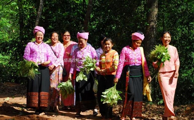 2A���ϵº�������������������ι���