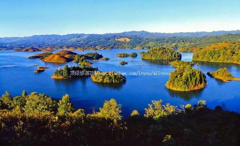 1A���ϵº�ӯ�������Ǻ����ι���