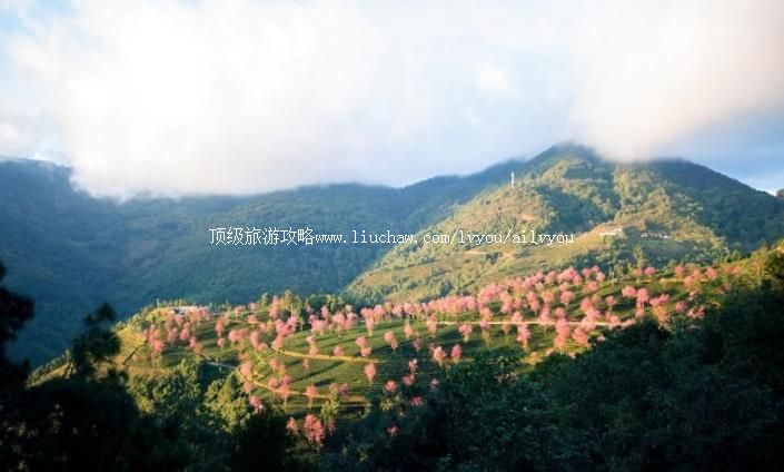 ��������ɽ���Ҽ���Ȼ���������ι���