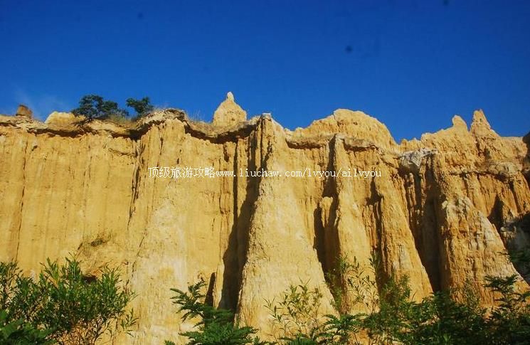 ����Ԫı�˰������־������ι���