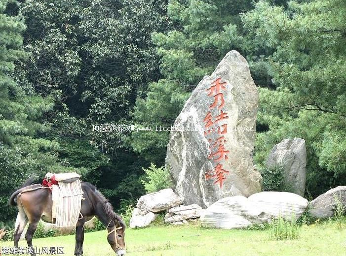 4A���ϳ�����Ϫɽ�羰�����ι���