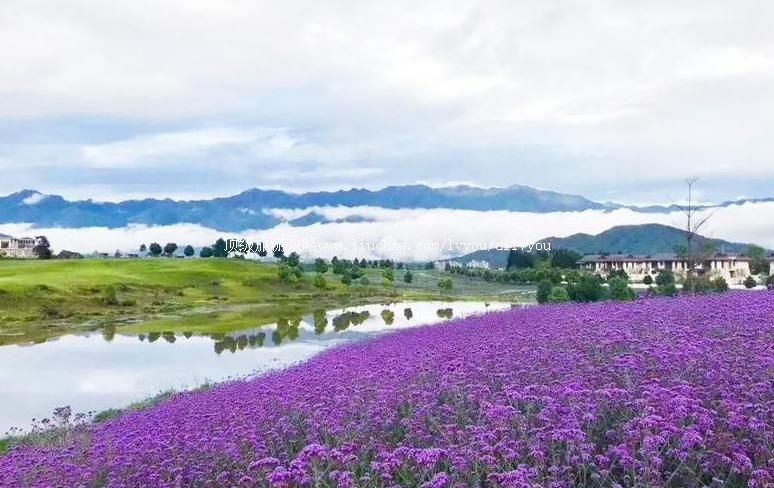 4A�����ڳ�ԭ���ܻ������ι���