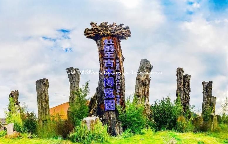 4A�����ڳ�ž��������ľ�Ļ�����԰���ι���