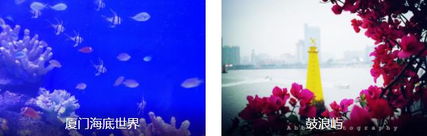 厦门市区-鼓浪屿漫步4日线路