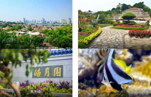 鼓浪屿环游2日线路