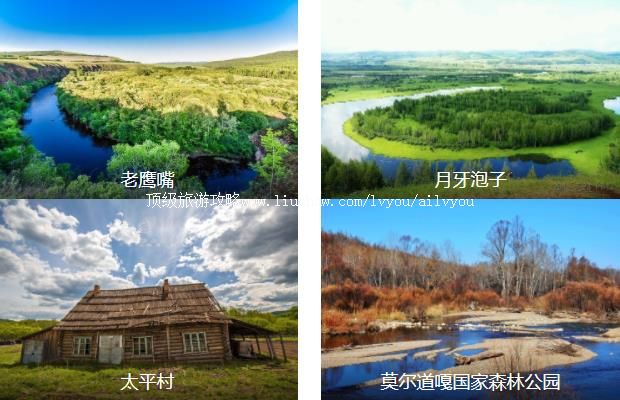 ���ױ�����̬1����·