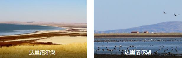 ��������Լ�4����·