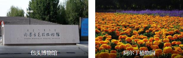 ����˵�߾��ߵ����У���ͷ������