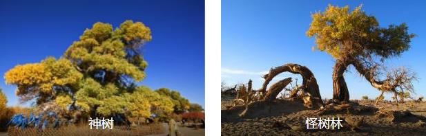 �������̽��2����·