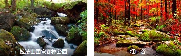 吉林秋韵1日线路