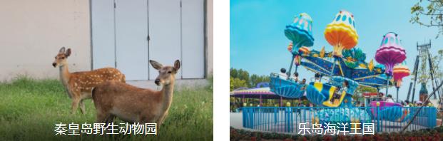 �ػʵ�����1����·