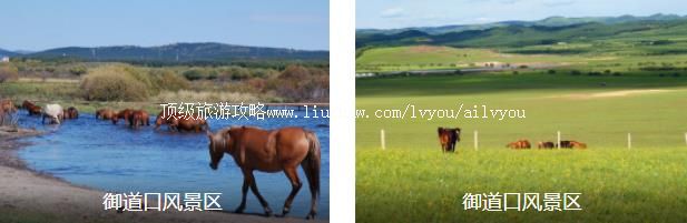 ������������2����·