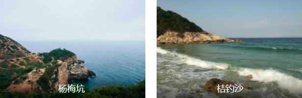 深圳探寻“美人鱼”1日线路