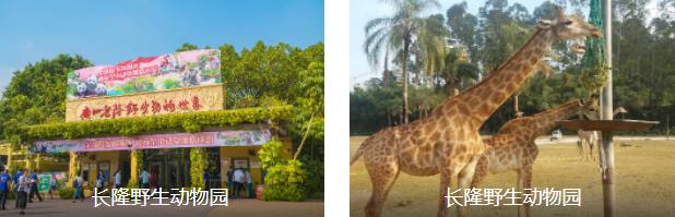 ��������3����·