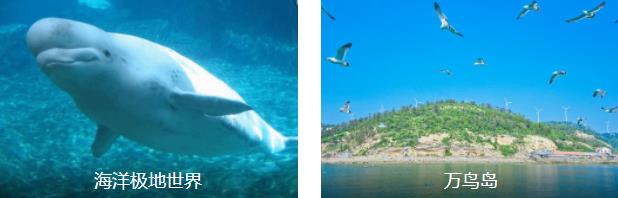 ��̨����1����·