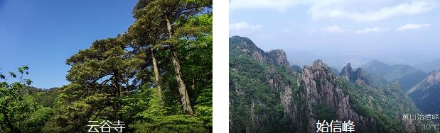 ��ɽ����3����·