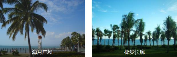 ��������5����·