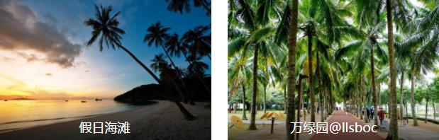 ���ھ���2����·