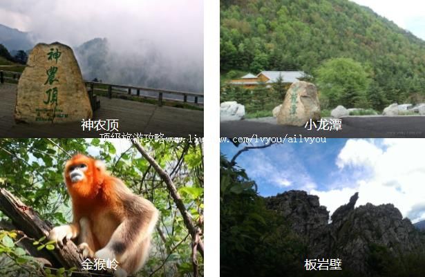 神农架深度4日线路