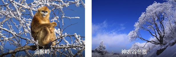 ��ũ�ܶ�������2����·