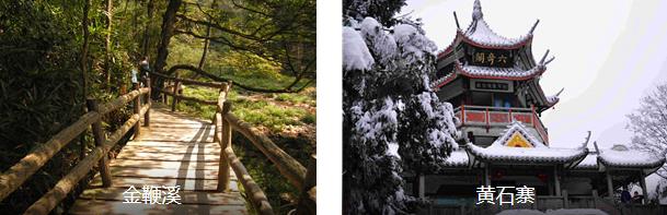 �żҽ�����3����·