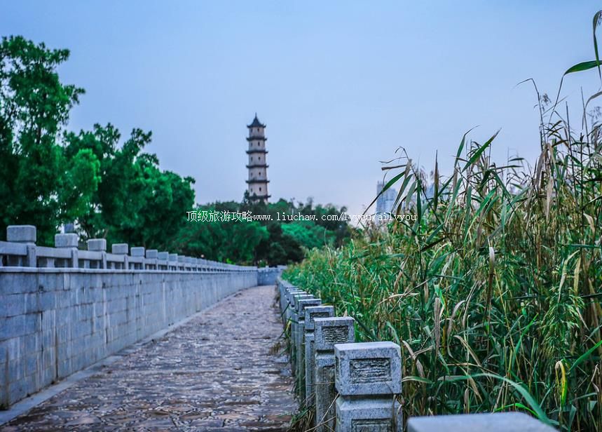 ���� �������棺2��