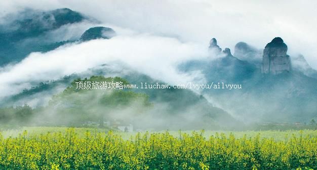 ̨�� �������棺1��