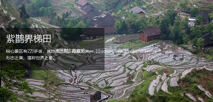 ¦�� �������棺1��