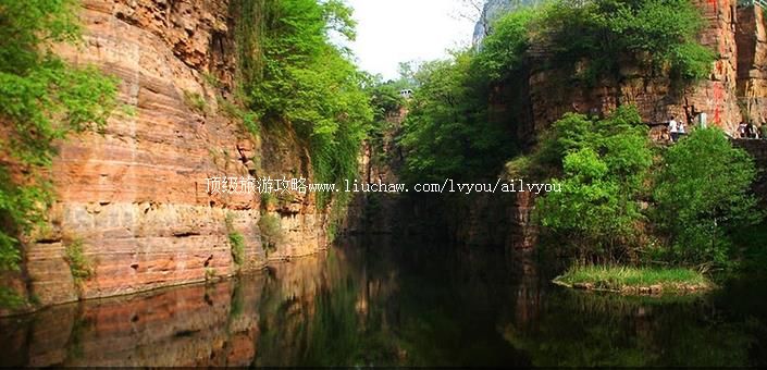 ���� �������棺1��