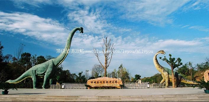 ���� �������棺1��