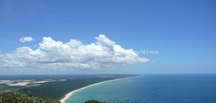 �Ĳ� �������棺1��