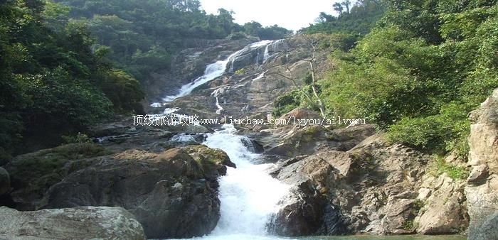 ���� �������棺1��