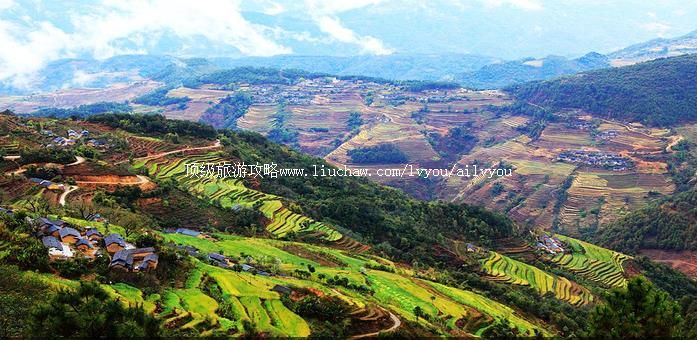 �ն� �������棺1��