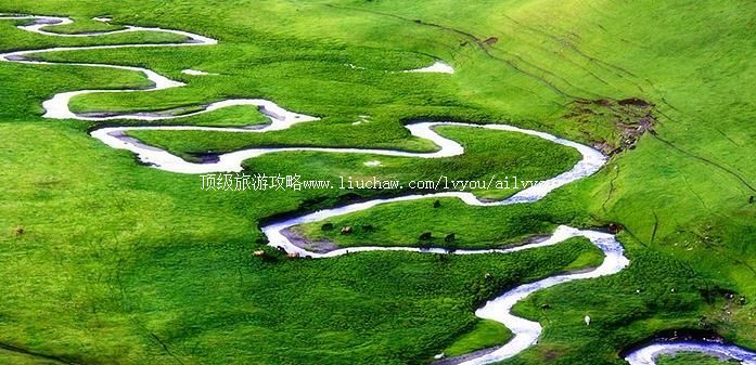 ���� �������棺1��