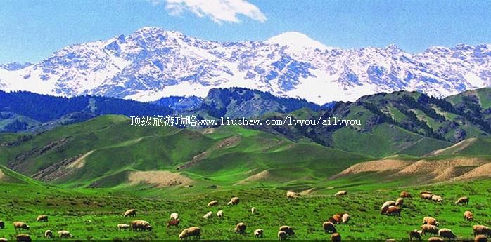 ʯ���� �������棺1��