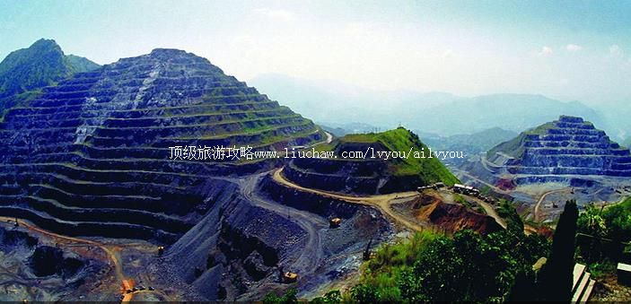 ��֦�� �������棺1��