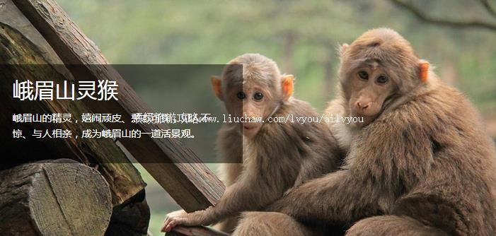 乐山 建议游玩:3天