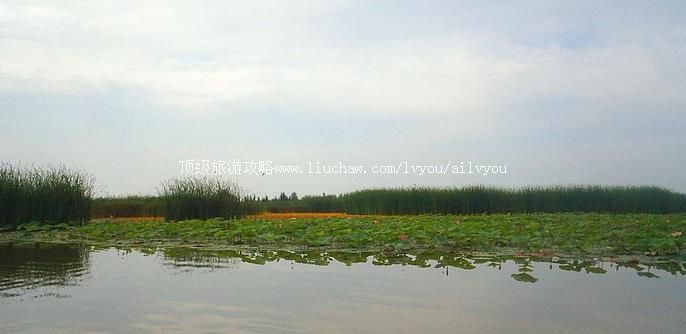 吴忠 建议游玩:1天