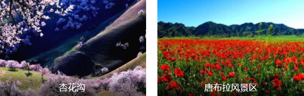 伊犁寻花5日线路